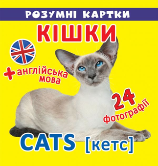 Бумажная книга «Розумні картки. Кішки. 12 карток» - фото №1 - миниатюра