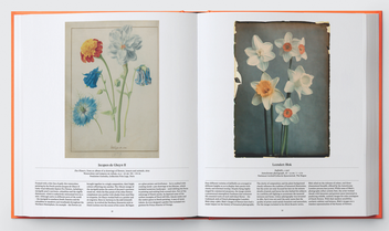Бумажная книга «Flower: Exploring the World in Bloom» - фото №4 - миниатюра