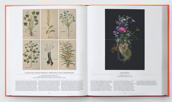 Бумажная книга «Flower: Exploring the World in Bloom» - фото №9 - миниатюра