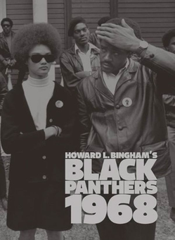 Паперова книга «Black Panthers 1968» - фото №1 - мініатюра