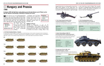 Паперова книга «Waffen-SS Divisions 1939-45», автор Кріс Бішоп - фото №6 - мініатюра