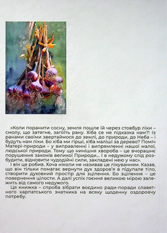 Паперова книга «Вік і лік. Рецепти на всяку оздоровчу потребу від карпатського знатника Андрія Ворона» - фото №2 - мініатюра