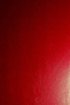 Paper book «Documents of the Second Vatican Council (1962-1965s). Constitutions, decrees, declarations, and comments» - фото №2 - миниатюра