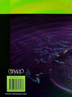 Бумажная книга «Кола на воді», автор Бруно Ферреро - фото №2 - миниатюра