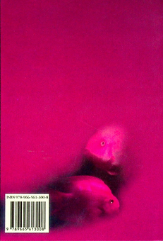 Бумажная книга «Таємниця червоних рибок», автор Бруно Ферреро - фото №2 - миниатюра