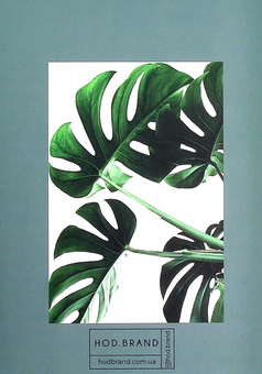 «Блокнот Hod.brand Plants (30030000050)», бренда Hod.brand - фото №3 - миниатюра