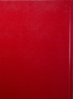 Паперова книга «Святе Письмо оновлене (біблійний папір)» - фото №2 - мініатюра