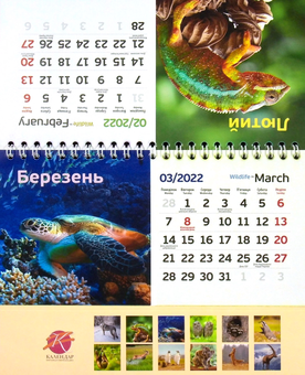 Бумажная книга «Календар настільний перекидний на 2022. Дика природа» - фото №2 - миниатюра