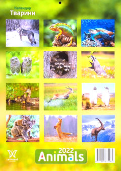 Паперова книга «Календар на 2022. Світовид. Animals» - фото №2 - мініатюра