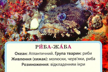 Бумажная книга «Досліджуємо воду та її властивості. Набір дидактичних матеріалів. 3-4 класи», авторов Татьяна Водолазская, Анна Заставская, Юлия Штанько - фото №6 - миниатюра