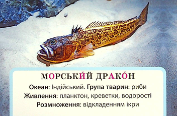 Бумажная книга «Досліджуємо воду та її властивості. Набір дидактичних матеріалів. 3-4 класи», авторов Татьяна Водолазская, Анна Заставская, Юлия Штанько - фото №7 - миниатюра