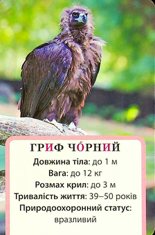 Бумажная книга «Досліджуємо повітря та його властивості. Набір дидактичних матеріалів. 3-4 класи», авторов Татьяна Водолазская, Анна Заставская, Юлия Штанько - фото №5 - миниатюра