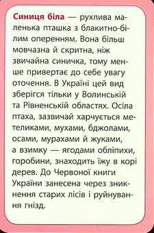 Бумажная книга «Досліджуємо повітря та його властивості. Набір дидактичних матеріалів. 3-4 класи», авторов Татьяна Водолазская, Анна Заставская, Юлия Штанько - фото №6 - миниатюра