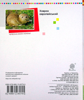 Бумажная книга «Я досліджую світ. 3 клас. Збірник діагностичних робіт», авторов Наталия Шост, Татьяна Гладюк, Наталья Будная - фото №2 - миниатюра