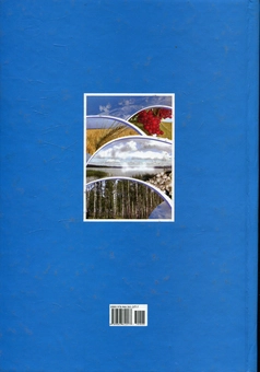 Паперова книга «На берегах Вижівки» - фото №2 - мініатюра