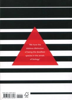 Паперова книга «Sapiens. A Brief History of Humankind», автор Юваль Ной Харарі - фото №2 - мініатюра