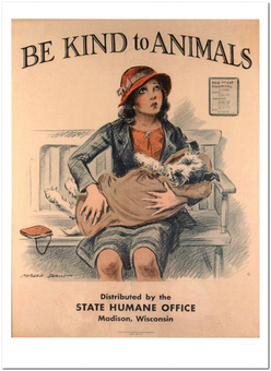  «Открытка Dennis Morgan — Be Kind to Animals I (DMO01)», бренда Artistic Card - фото №1 - миниатюра