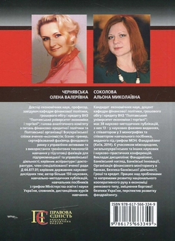 Паперова книга «Фандрайзинг», авторів Олена Чернявська, Альона Соколова - фото №2 - мініатюра