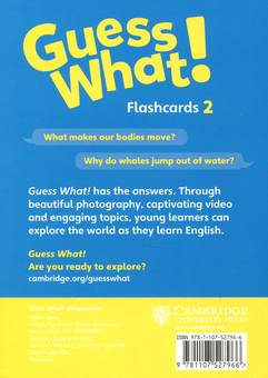 Бумажная книга «Guess What! Level 2 Flashcards (pack of 91) British English», автор Сусанна Рейд - фото №2 - миниатюра