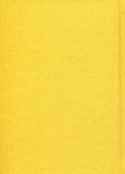 Бумажная книга «Євангеліє від ластівки», автор Ирина Жиленко - фото №3 - миниатюра