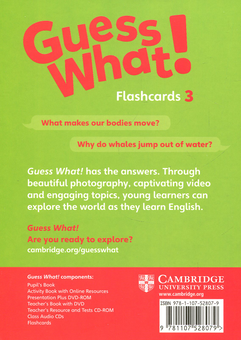 Бумажная книга «Guess What! Level 3 Flashcards (pack of 75) British English», автор Сусанна Рейд - фото №2 - миниатюра