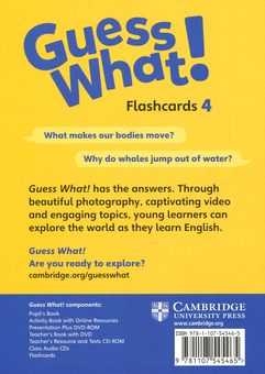 Бумажная книга «Guess What! Level 4 Flashcards (pack of 88) British English», автор Сусанна Рейд - фото №2 - миниатюра