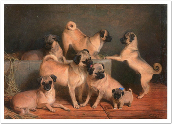  «Открытка Charles Burton Barber — A Family of Pugs (CB11)», бренда Artistic Card - фото №1 - миниатюра