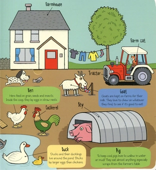 Паперова книга «Little Explorers: The Animal World», автор Рут Мартін - фото №4 - мініатюра