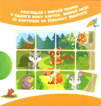Паперова книга «У лісі. Тварини на картках» - фото №2 - мініатюра