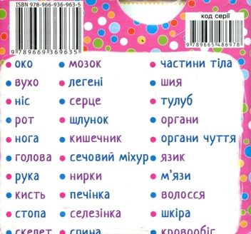 Паперова книга «Розумні картки. Моє тіло. 30 карток» - фото №2 - мініатюра