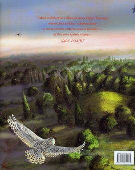 Бумажная книга «Гаррі Поттер. Ілюстроване видання (комплект із 4 книг)», автор Джоан Роулинг - фото №7 - миниатюра