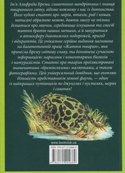 Бумажная книга «Земноводні», автор Альфред Брем - фото №2 - миниатюра