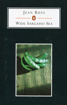 Бумажная книга «Wide Sargasso Sea», автор Джин Рис - фото №1 - миниатюра