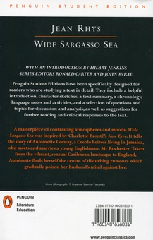 Бумажная книга «Wide Sargasso Sea», автор Джин Рис - фото №2 - миниатюра