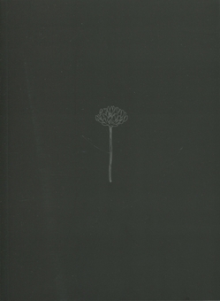 Бумажная книга «Дівчинка з того боку. Том 1», автор Нагабэ - фото №4 - миниатюра