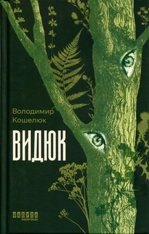 Бумажная книга «Видюк», автор Владимир Кошелюк - фото №1 - миниатюра
