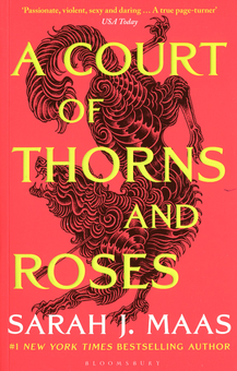 Бумажная книга «A Court of Thorns and Roses (комплект із 4 книг)», автор Сара Дж. Маас - фото №2 - миниатюра