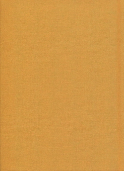Бумажная книга «Вийшов з радіо чорний лев», автор Иван Драч - фото №2 - миниатюра