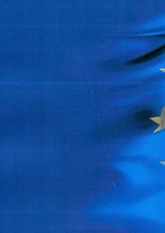 Paper book «Forms of government of the European Union: legal models and political practice», author Serhii Bostan - фото №2 - миниатюра