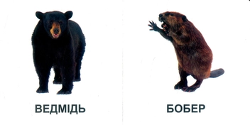 Паперова книга «Звірята» - фото №3 - мініатюра