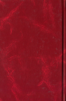 Паперова книга «Чорновіл В. Твори у 10-ти томах. Том 10», автор В'ячеслав Чорновіл - фото №2 - мініатюра