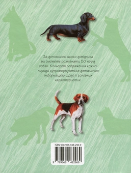 Паперова книга «Собаки. Міні-енциклопедія» - фото №4 - мініатюра