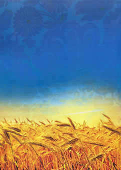 Бумажная книга «Українська культура. Коротка історія культурного життя українського народу», автор Митрополит Иларион (Огиенко) - фото №2 - миниатюра