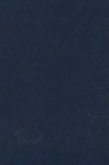 Паперова книга «Короткий тлумачний словник української мови» - фото №2 - мініатюра