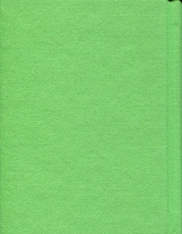 Паперова книга «Сефернаме. Тогайбей», автор Джанмухаммед (Едіп Ефенді) - фото №4 - мініатюра