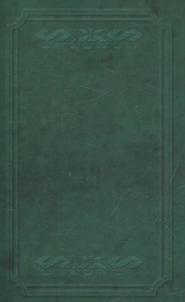 Бумажная книга «Викинуті українці. До жидівсько-української справи», автор Олена Пчилка - фото №2 - миниатюра