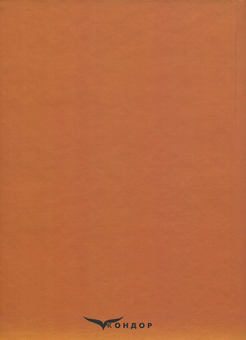 Паперова книга «Основи казначейської справи», авторів Н. Хрущ, І. Форкун, Т. Гордєєва - фото №2 - мініатюра