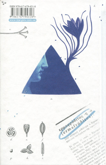 Паперова книга «Середня стать», автор Джеффрі Євгенідіс - фото №3 - мініатюра