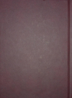 Паперова книга «Історія України-Русі», автор Микола Аркас - фото №2 - мініатюра