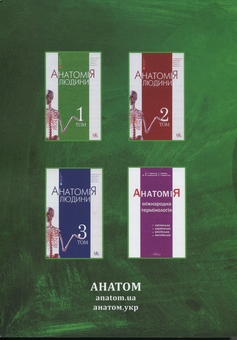 Бумажная книга «Анатомія людини. Контроль за самостійною підготовкою до практичних занять», авторов  В. Черкасов, И. Дзевульская, О. Ковальчук - фото №2 - миниатюра